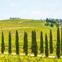 Italy Religious Tours 2026 & 2027