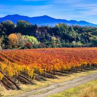 Perillo Italy Tours 2026-2027 | Expert-Guided Escapes